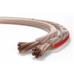 102-rz-speaker-wire-25-transp-RGB-900×1069-1